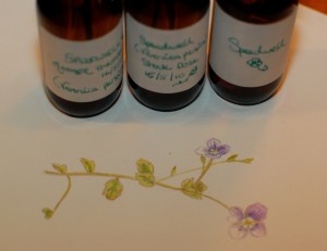 Completed Essence and Sketch