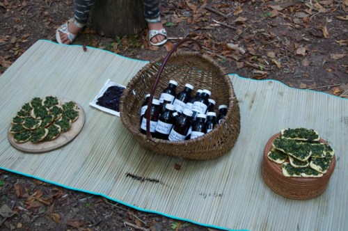 Food and medicine from the Earth.