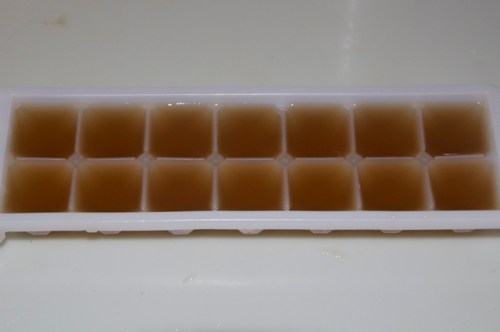 Medicinal mushroom stock ice cubes